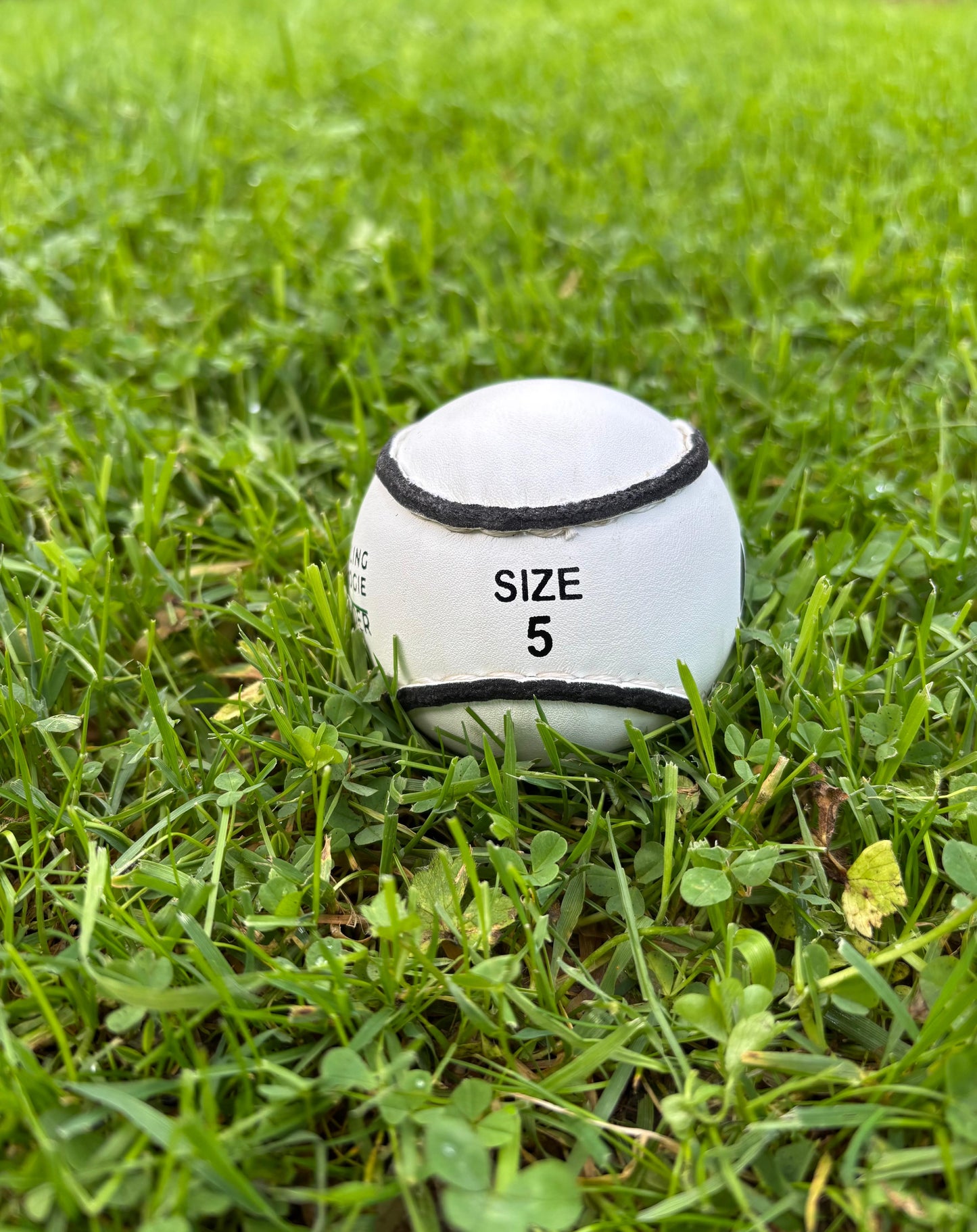 a white sliotar ball on a green grass base text is size 5
